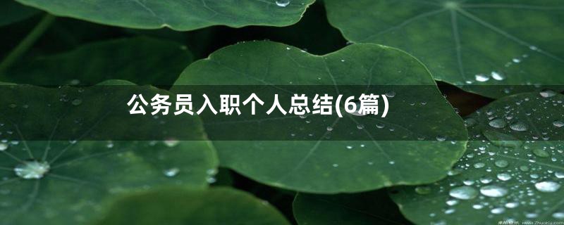 公务员入职个人总结(6篇)