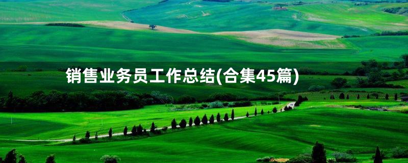 销售业务员工作总结(合集45篇)