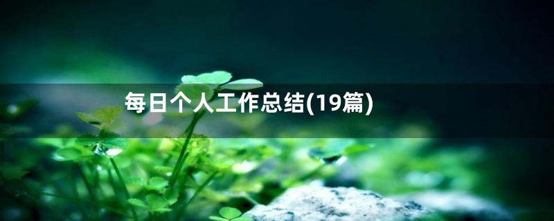 每日个人工作总结(19篇)