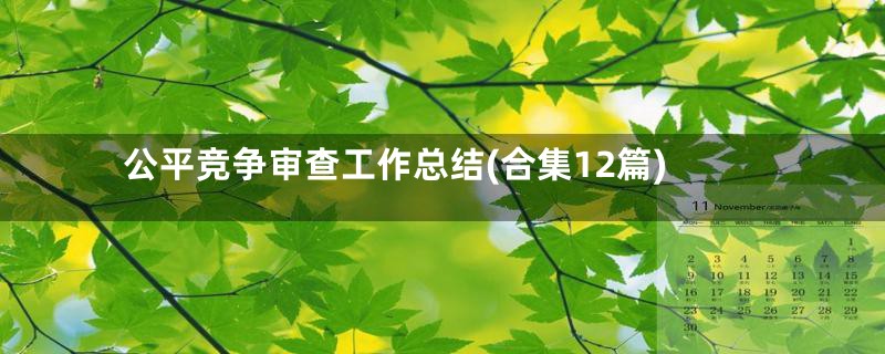 公平竞争审查工作总结(合集12篇)