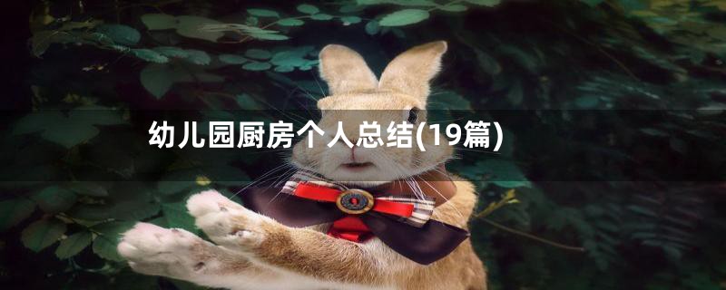 幼儿园厨房个人总结(19篇)