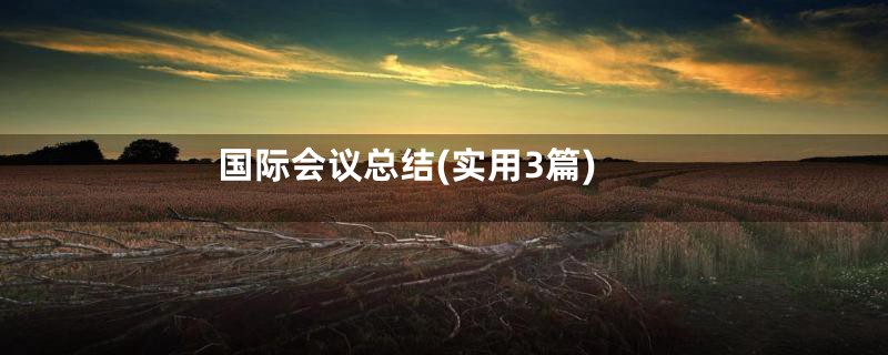 国际会议总结(实用3篇)
