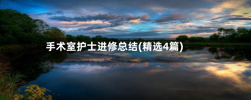 手术室护士进修总结(精选4篇)