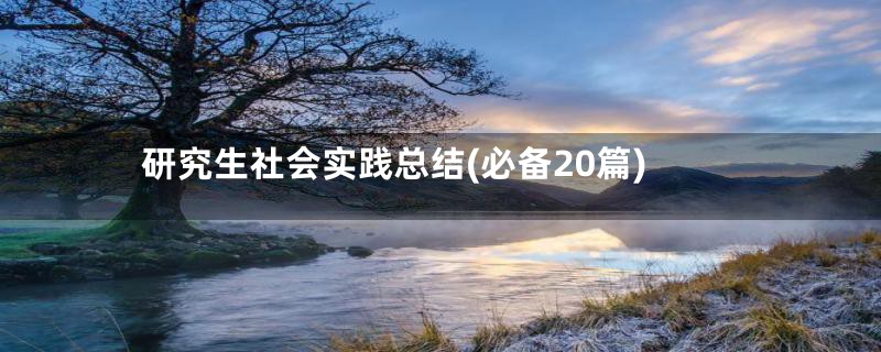 研究生社会实践总结(必备20篇)