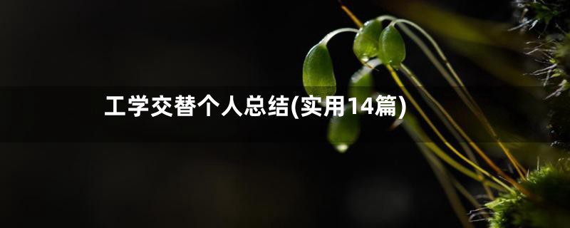 工学交替个人总结(实用14篇)