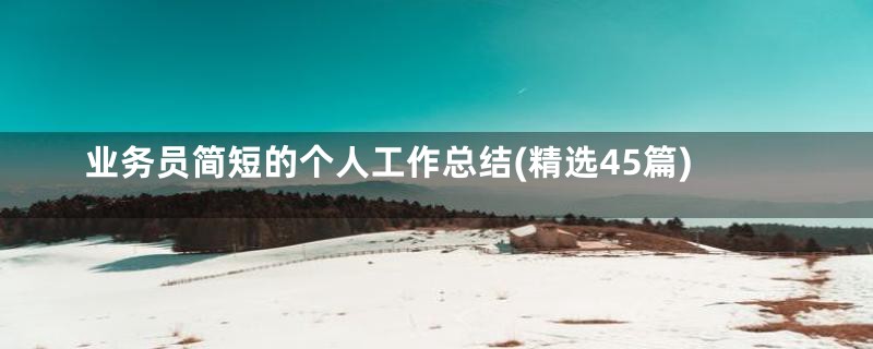 业务员简短的个人工作总结(精选45篇)