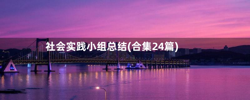 社会实践小组总结(合集24篇)