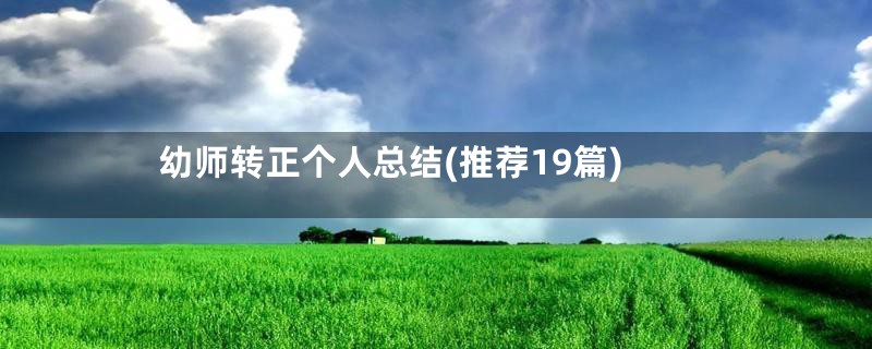 幼师转正个人总结(推荐19篇)