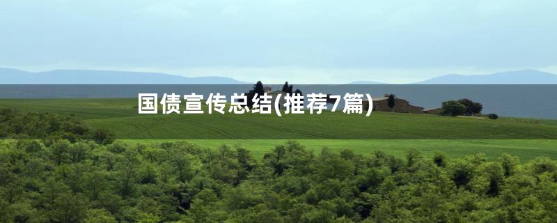 国债宣传总结(推荐7篇)