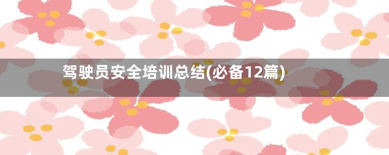 驾驶员安全培训总结(必备12篇)