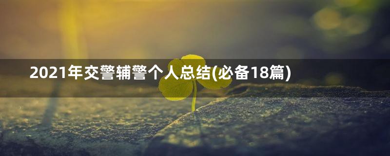 2021年交警辅警个人总结(必备18篇)