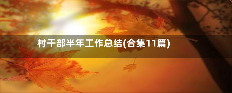 村干部半年工作总结(合集11篇)