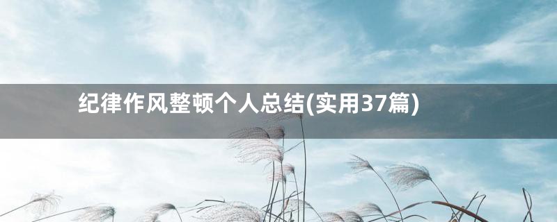 纪律作风整顿个人总结(实用37篇)