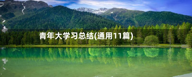 青年大学习总结(通用11篇)