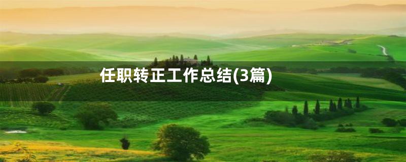 任职转正工作总结(3篇)