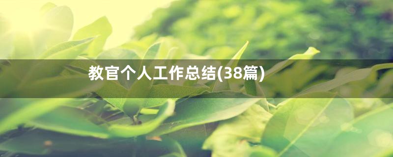 教官个人工作总结(38篇)