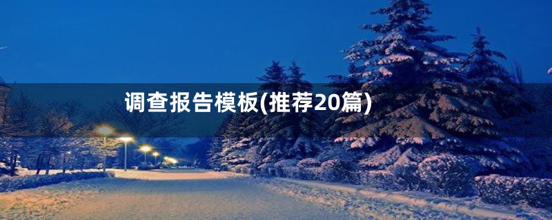 调查报告模板(推荐20篇)