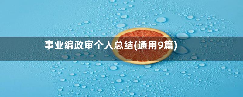 事业编政审个人总结(通用9篇)