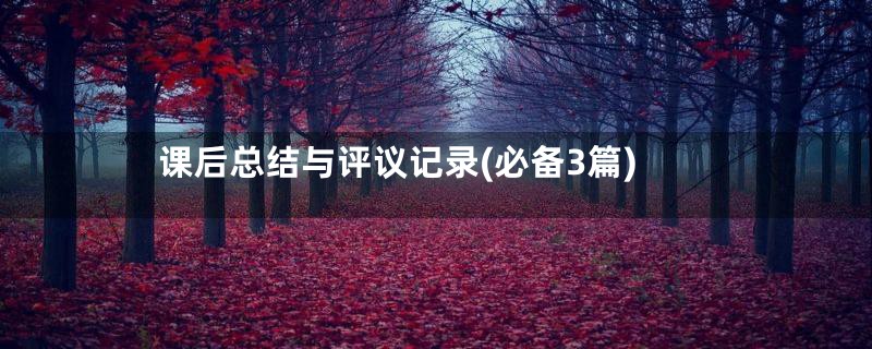 课后总结与评议记录(必备3篇)