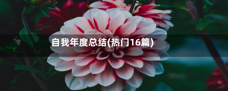 自我年度总结(热门16篇)