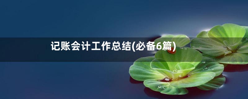 记账会计工作总结(必备6篇)