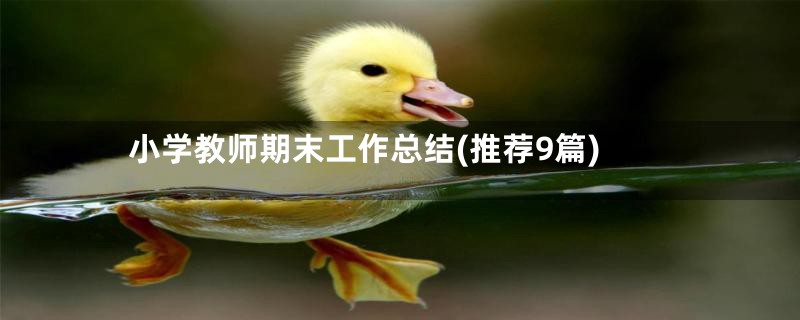 小学教师期末工作总结(推荐9篇)