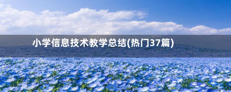 小学信息技术教学总结(热门37篇)