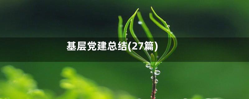 基层党建总结(27篇)