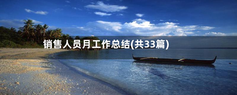 销售人员月工作总结(共33篇)