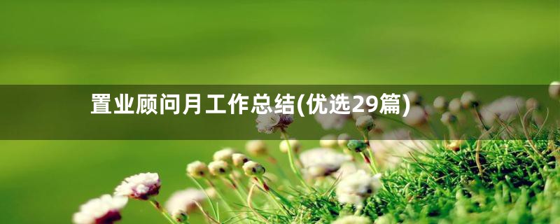 置业顾问月工作总结(优选29篇)