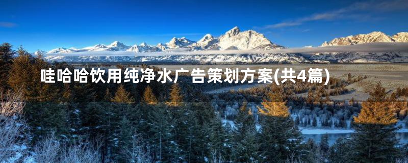 哇哈哈饮用纯净水广告策划方案(共4篇)