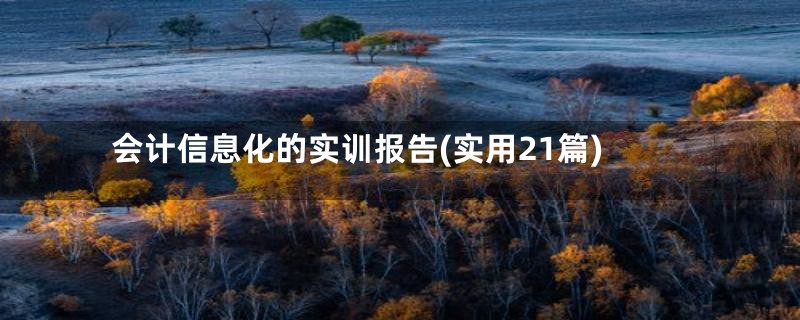会计信息化的实训报告(实用21篇)