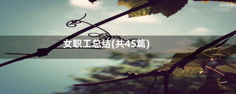 女职工总结(共45篇)