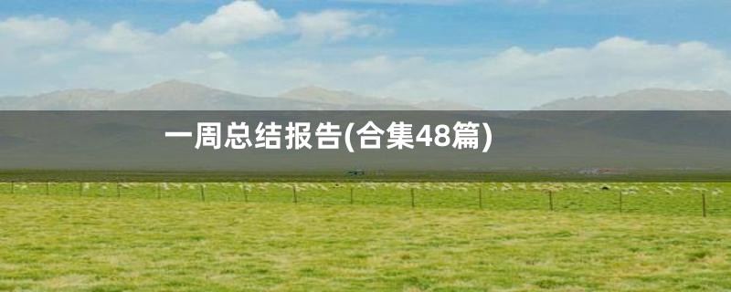 一周总结报告(合集48篇)