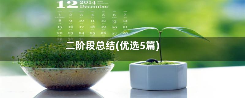 二阶段总结(优选5篇)