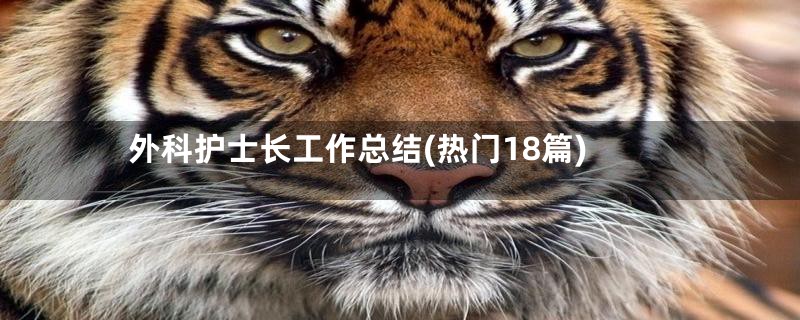 外科护士长工作总结(热门18篇)