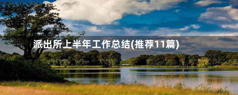 派出所上半年工作总结(推荐11篇)