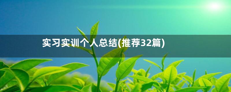 实习实训个人总结(推荐32篇)