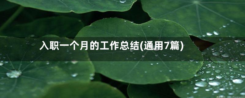 入职一个月的工作总结(通用7篇)