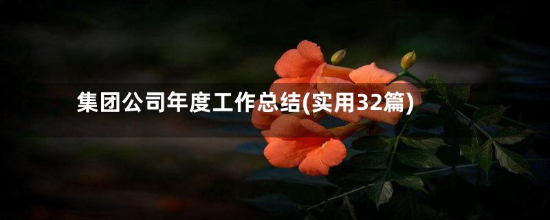 集团公司年度工作总结(实用32篇)
