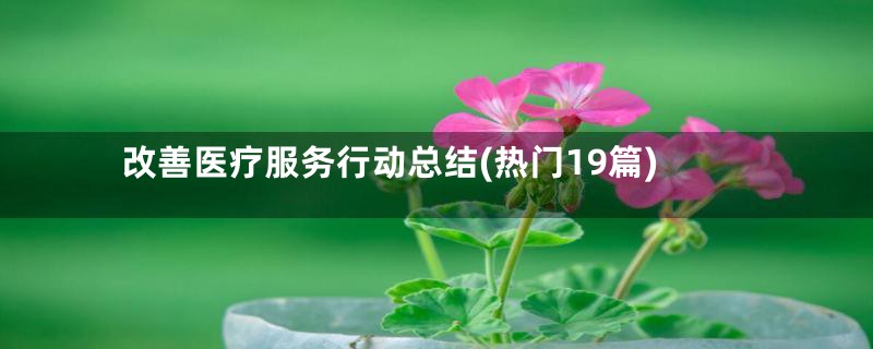 改善医疗服务行动总结(热门19篇)