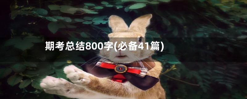 期考总结800字(必备41篇)