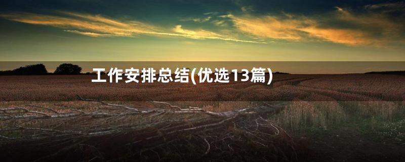 工作安排总结(优选13篇)