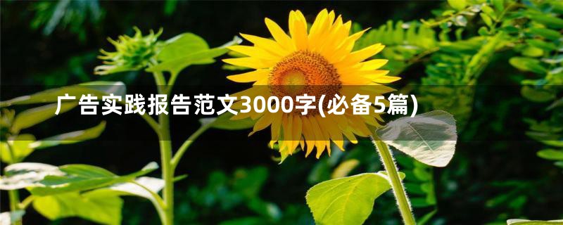 广告实践报告范文3000字(必备5篇)