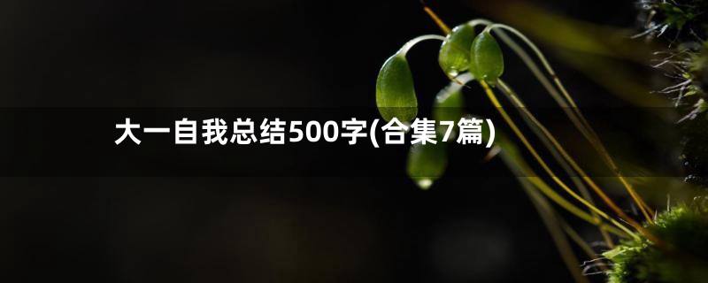 大一自我总结500字(合集7篇)