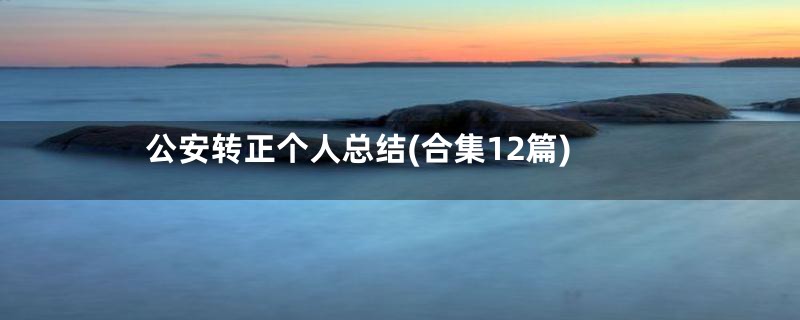 公安转正个人总结(合集12篇)