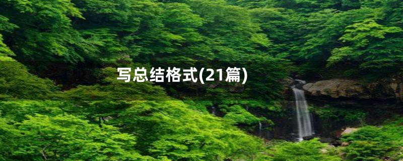 写总结格式(21篇)