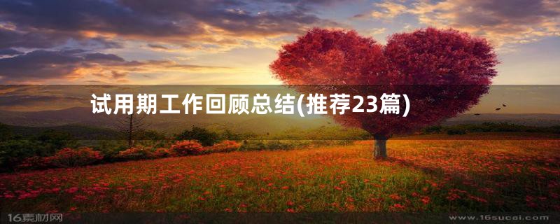 试用期工作回顾总结(推荐23篇)