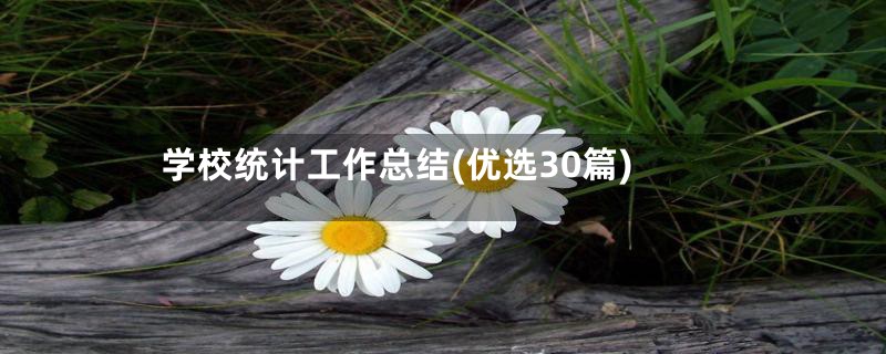 学校统计工作总结(优选30篇)