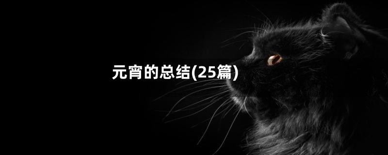 元宵的总结(25篇)